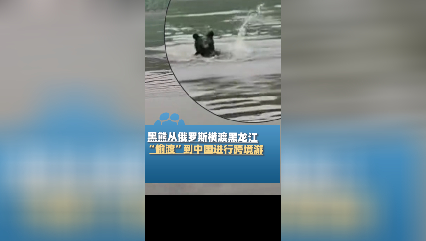 澳门彩生肖分析走势图,老外看完哪吒2称中国动画杀疯了,权威独家讨论与热门话题_探索版V8.4
